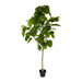 Real Touch Ficus Umbellata 200cm