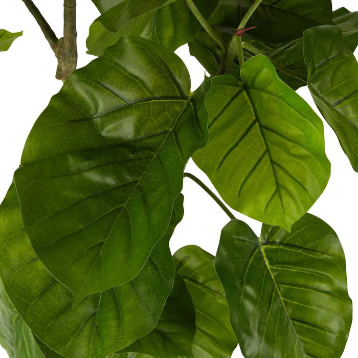 Real Touch Ficus Umbellata 200cm