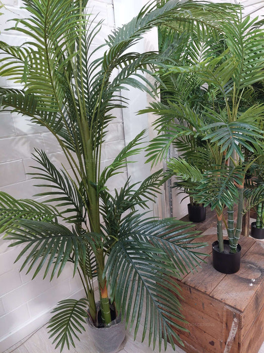 Real Touch Green Palm Tree In Black Pot 210cm