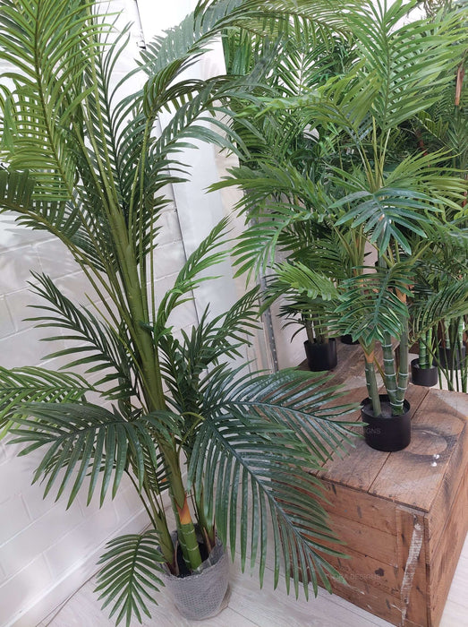 Real Touch Green Palm Tree In Black Pot 210cm