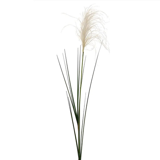 Reed Grass Spray 105cm Pack of 12