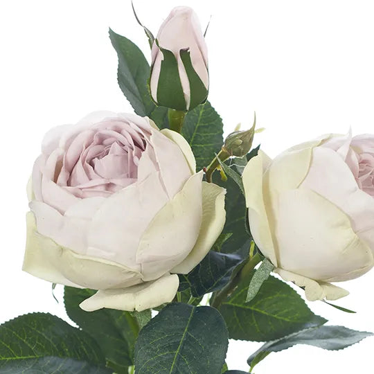 Rose Adele Spray 73cm Lavender Frost Pack of 12