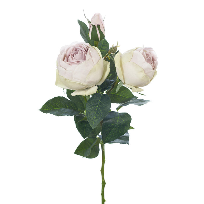 Rose Adele Spray 73cm Lavender Frost Pack of 12