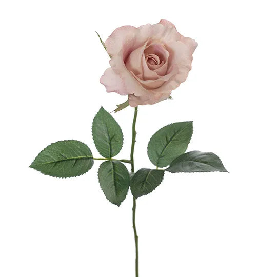 Rose Alice Stem 61cm Dusty Pink Pack of 24