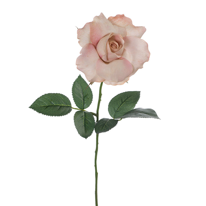 Rose Alice Stem 61cm Dusty Pink Pack of 24