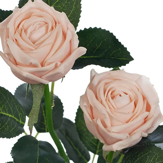 Rose Ariel Spray 38cm Soft Pink Pack of 12