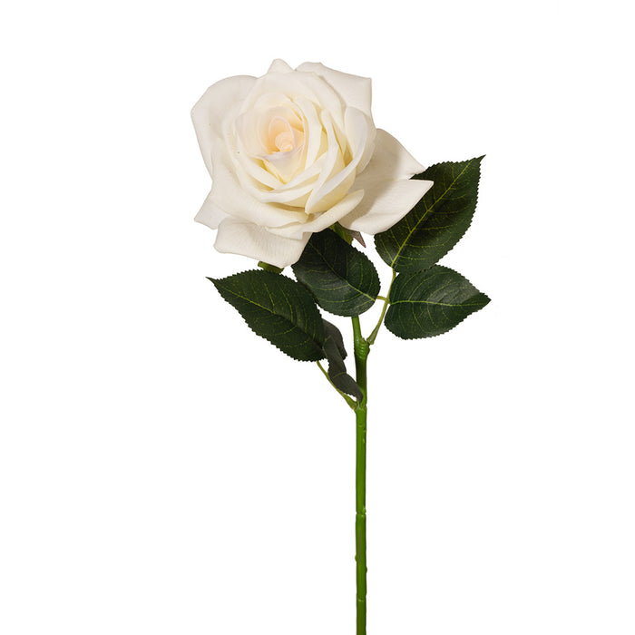 Rose Tessa Stem 63cm Ivory White Pack of 12