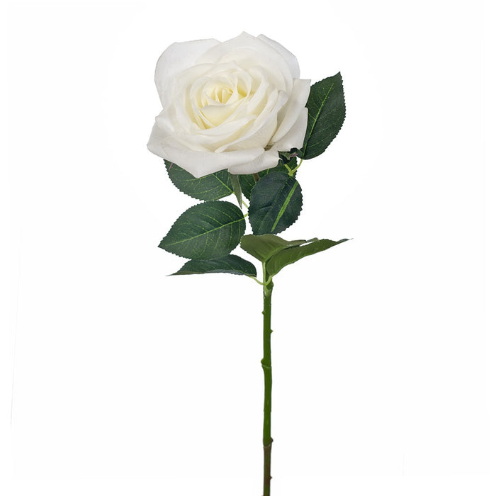 Rose Tessa Stem 63cm White Pack of 12