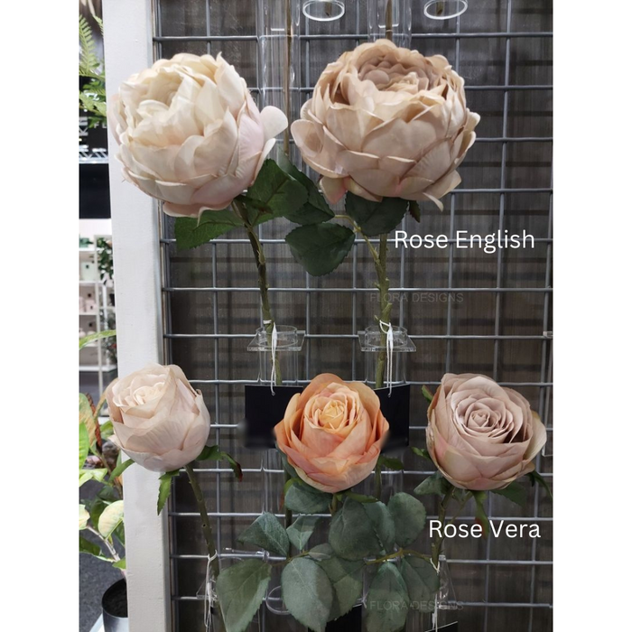 Rose English Antique Pink 53cm Pack of 12