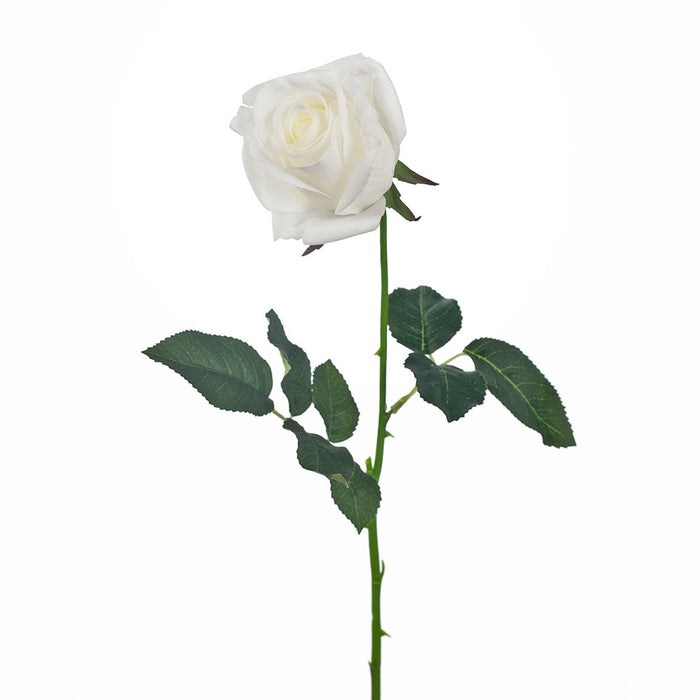 Rose Yvie 65cm White Pack of 12