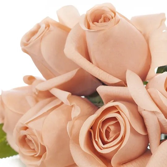 Rosebud Bouquet 30cm Blush Pink Pack of 6