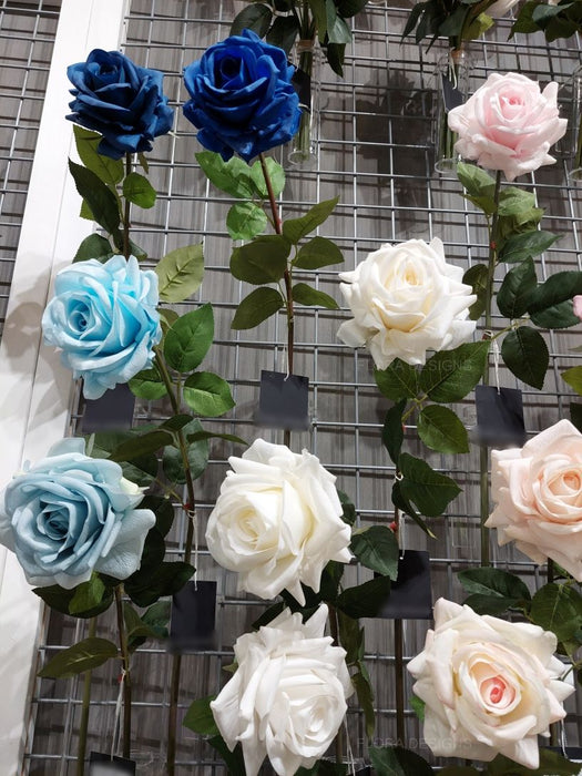 Rose Hannah Ice Blue 75cm Pack of 12