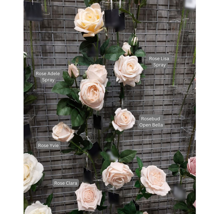 Rose Clara Soft Pink 60cm Pack of 12