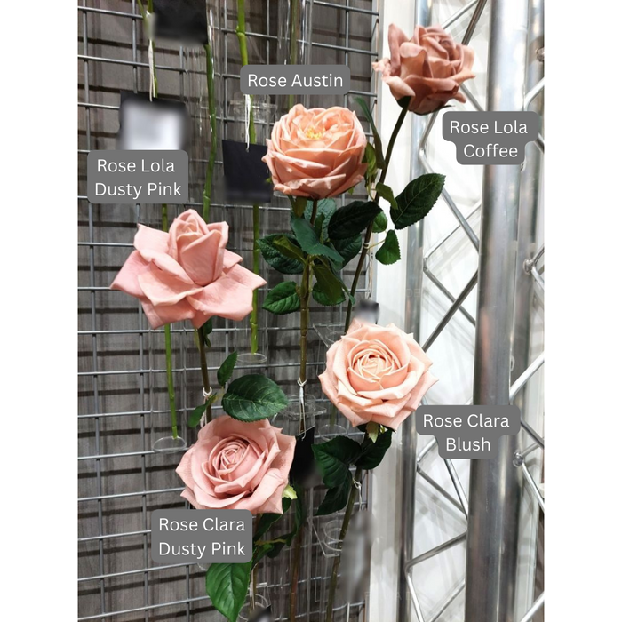 Rose Austin Blush Pink 72cm Pack of 12