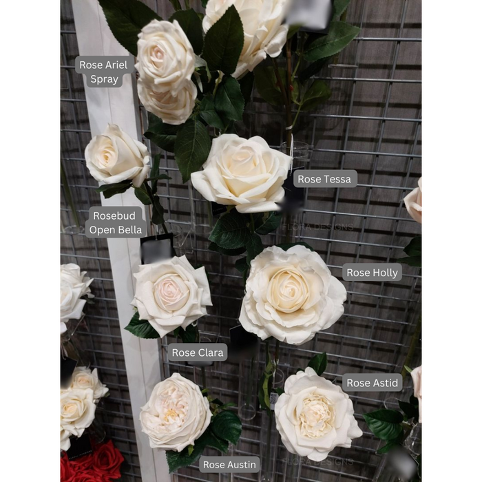 Rose Clara Ivory White 60cm Pack of 12