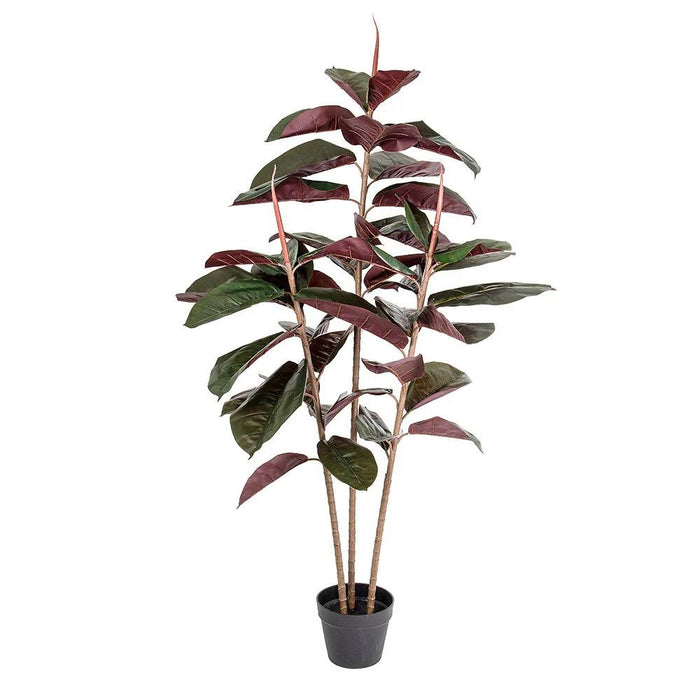 Rubber Tree Real Touch 145cm