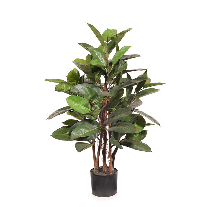 Rubber Tree Green 100cm Pack of 2