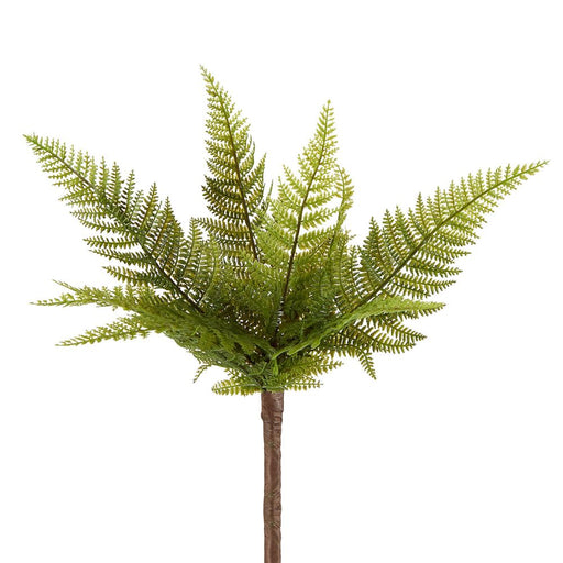 Small Native Fern Green Pack of 12