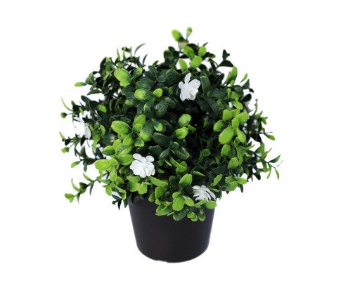 Small Potted Artificial Flowering Boxwood Plant UV Resistant 20cm Pack of 2