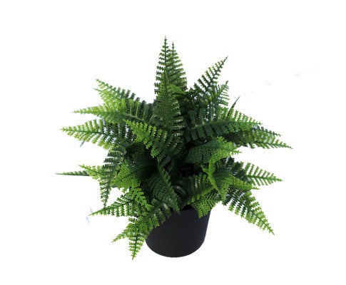 Small Potted Artificial Persa Boston Fern Plant UV Resistant 20cm Pack of 2