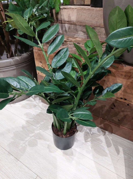 Smargago Potted Plant 66cm