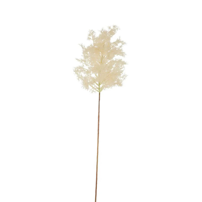 Smoke Tree Stem Natural Small Pack of 6