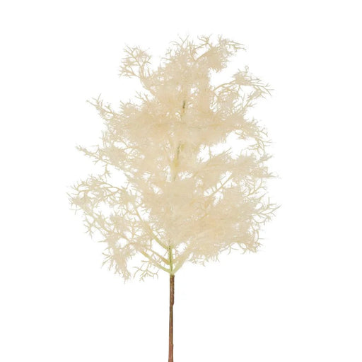 Smoke Tree Stem Natural Small Pack of 6