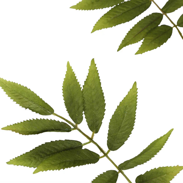 Sorbus Leaf Spray 159cm Green Pack of 12