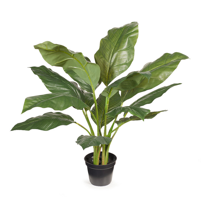 Spathiphyllum Leaf Plant Green 63cm Pack of 2