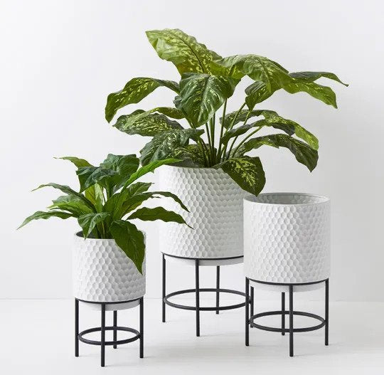 Spathiphyllum in Pot Green 45cm Pack of 4