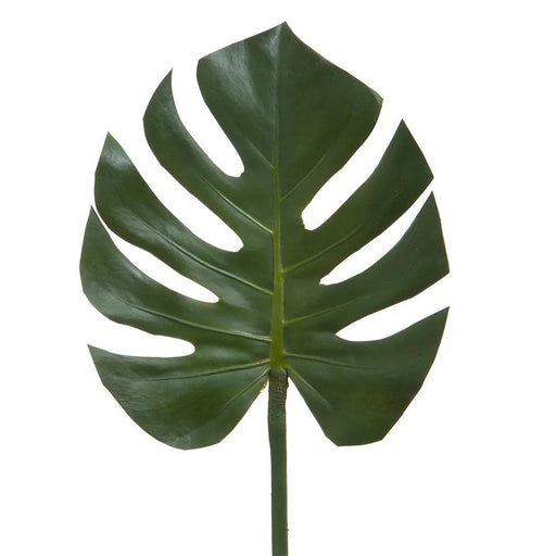 Split-Leaf Philodendron Stem 75cm Green Pack of 12