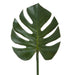 Split-Leaf Philodendron Stem 75cm Green Pack of 12
