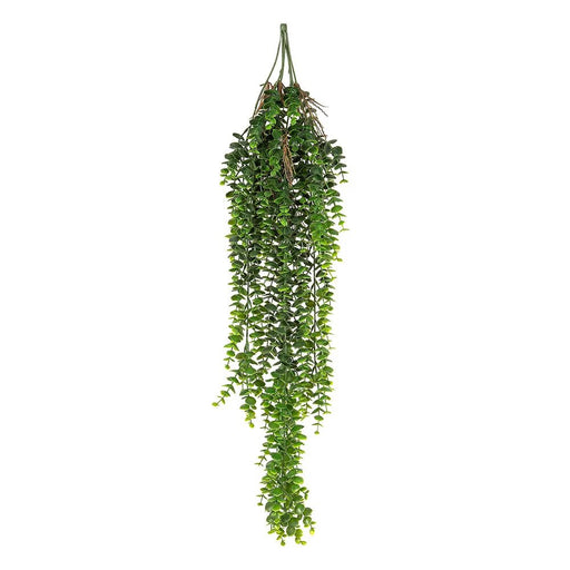 Staghorn Hanging 80cm Pack of 12