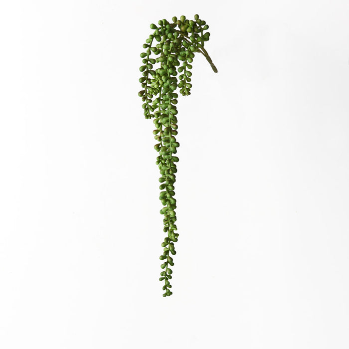 String of Pearls Hanging Bush Green 45cm Pack of 12