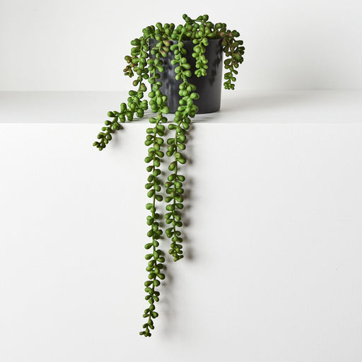 String of Pearls in Pot Green 45cm Pack of 4