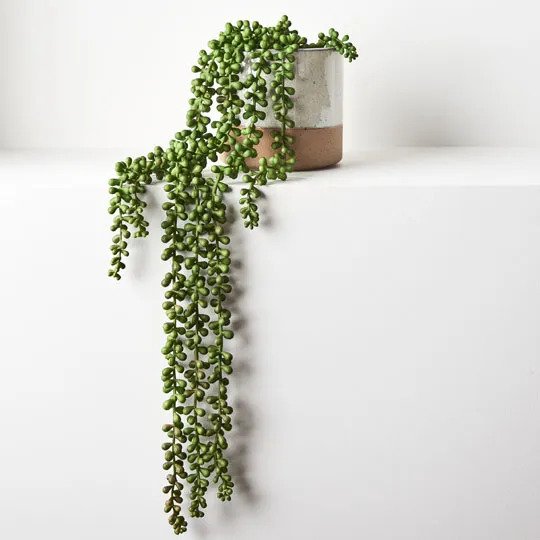 String of Pearls in Pot Green 70cm Pack of 4