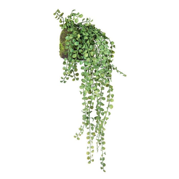 Succulent Hanging 64cm Green Pack of 2