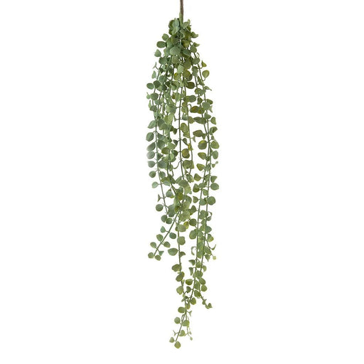 Succulent Hanging Vine 85cm Pack of 12