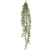 Succulent Hanging Vine 85cm Pack of 12