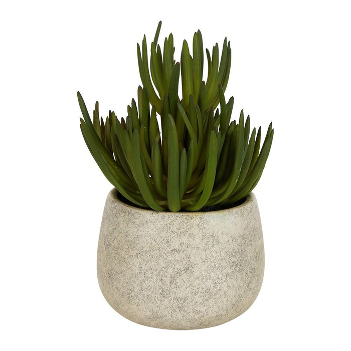 Succulents Green in Grey Pot 21.5cm Set of 3