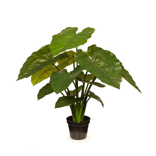 Taro Plant Green 56cm Pack of 2