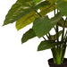 Taro Plant Green 56cm Pack of 2