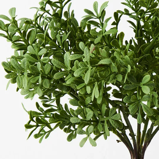 Tea Leaf Bush Green Grey 25cm Pack of 12