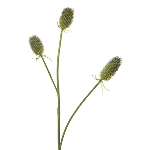 Thistle Spray 93cm Green Pack of 12