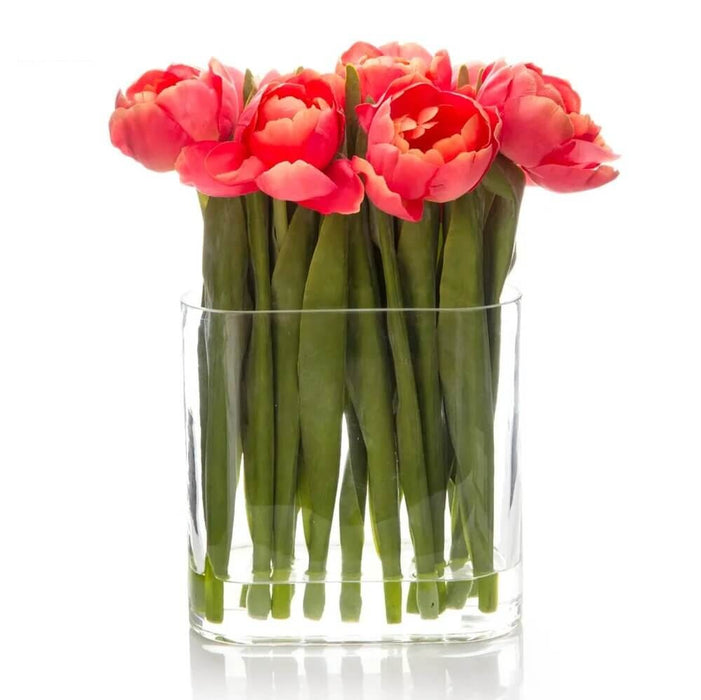 Tulip In Water In Glass Vase Salmon Red 30cm