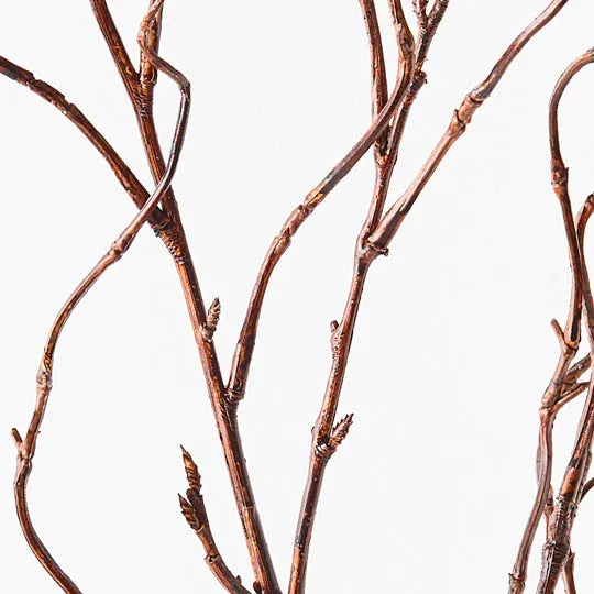 Twig Curly Willow Spray Brown 144cm Pack of 12