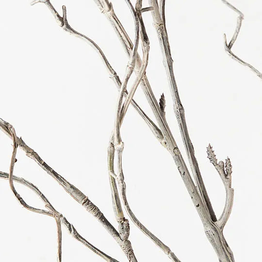 Twig Curly Willow Spray Grey Wash 144cm - Pack of 12