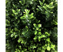 UV Resistant Artificial Topiary Shrub (Hedyotis) 50cm Mixed Green