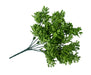 Vivid Green Wide Eucalypts Plant 32cm UV Resistant