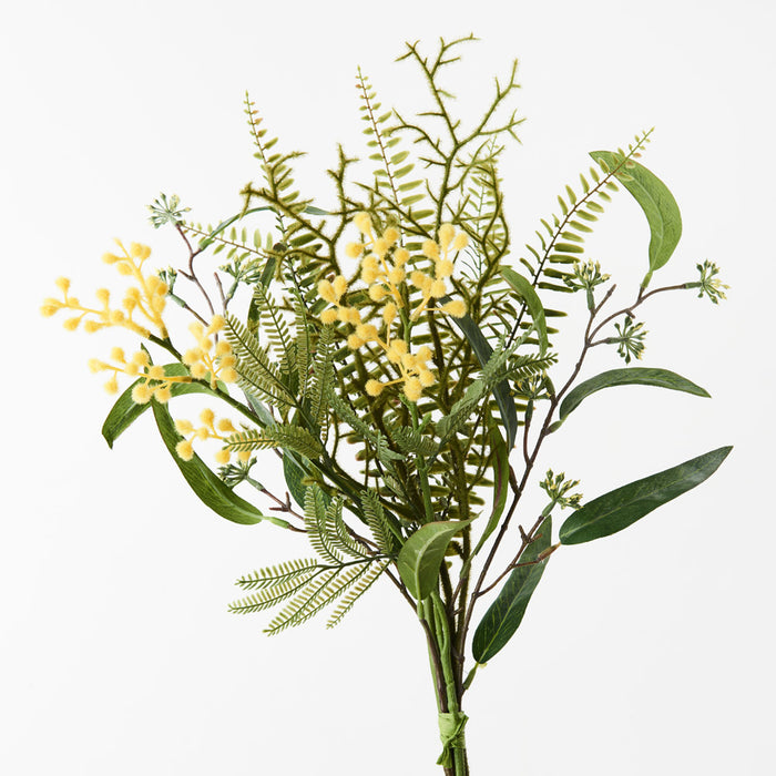 Wattle Mixed Bouquet 56cm Yellow Pack of 6